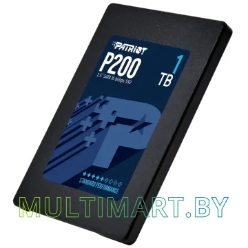 SSD диск Patriot P200 1TB (P200S1TB25) картинка 4
